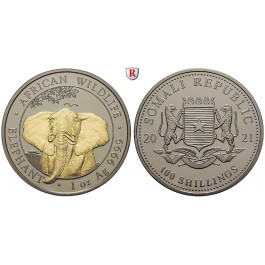 Somalia, 100 Shillings 2021, PP